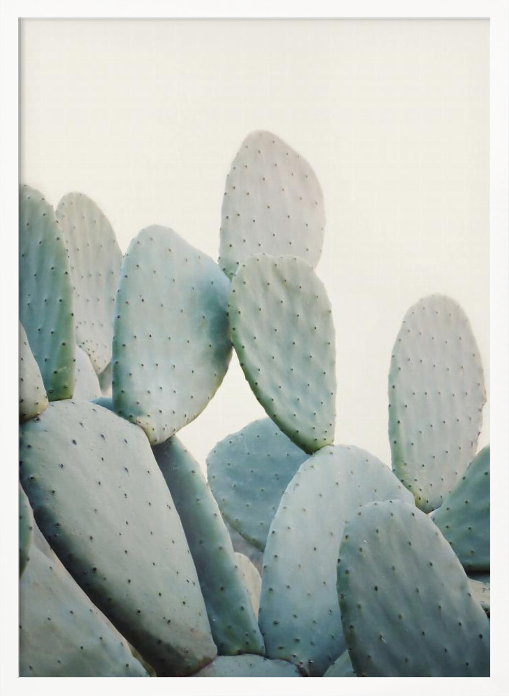 Poster - Pastel Cacti posterframe wit hout
