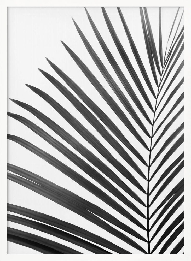 Plakat - BW Palm Leaf ramka na plakat z białego drewna