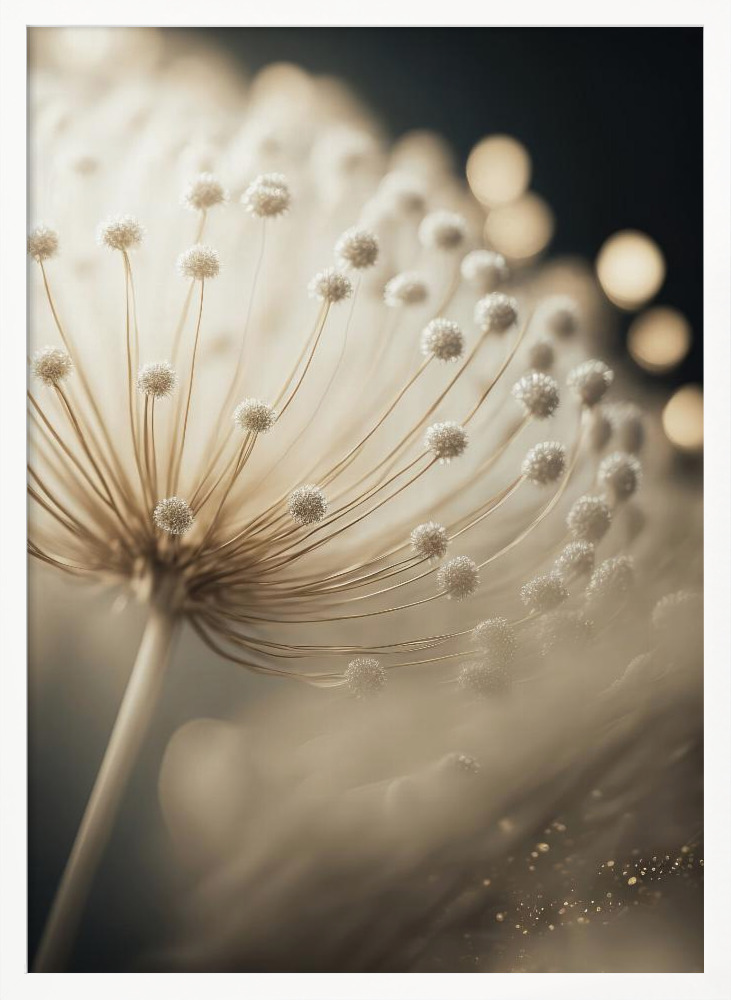 Poster - Little Pompoms white wood poster frame