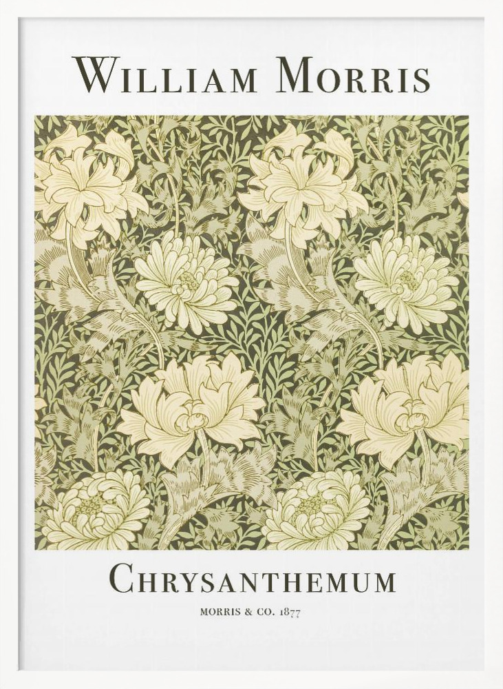 Plakat - Chrysanthemum white wood poster frame