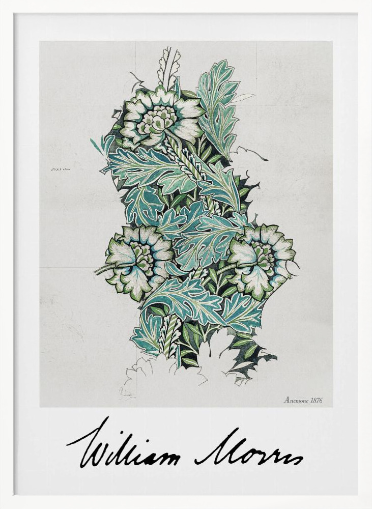 Affiche - Anemone cadre de poster en bois blanc
