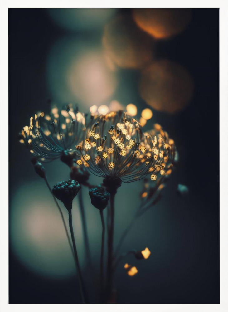 Poster - Glowing Dots white wood poster frame