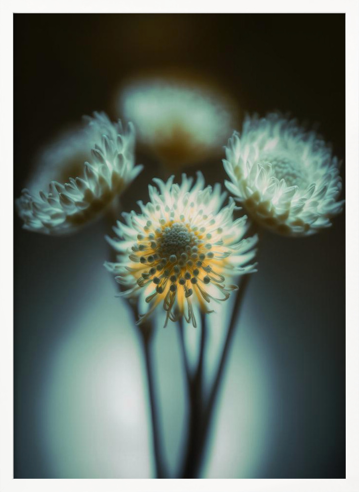 Poster - Low Light white wood poster frame