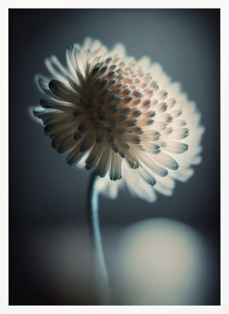 Poster - Pastel Beauty white wood poster frame