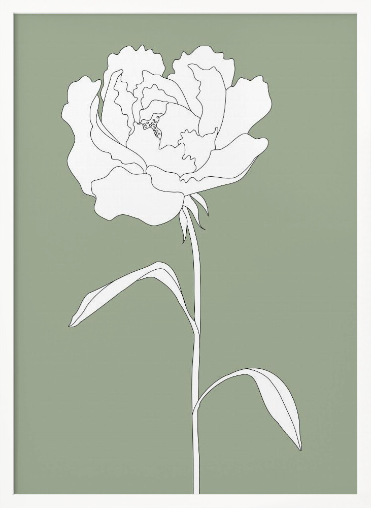 Plakat - Rose in Green ramka na plakat z białego drewna