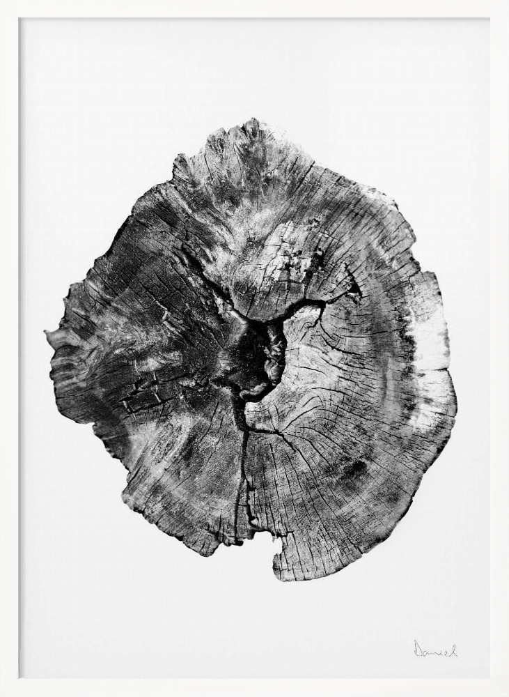 Póster - Oak Log white wood poster frame