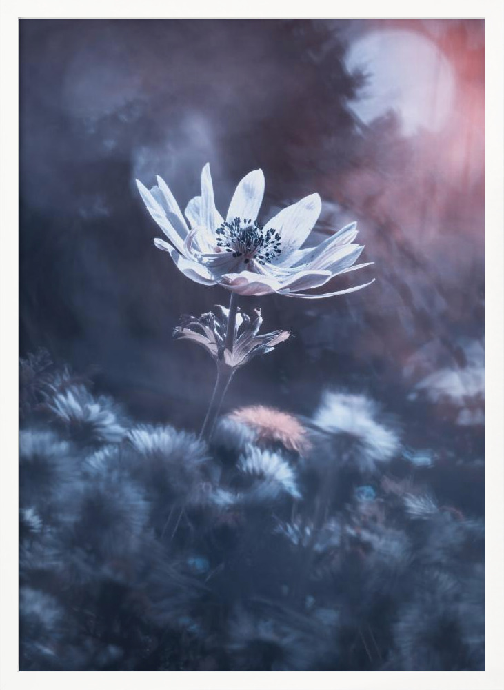 Poster - The divine sound of creation white wood poster frame