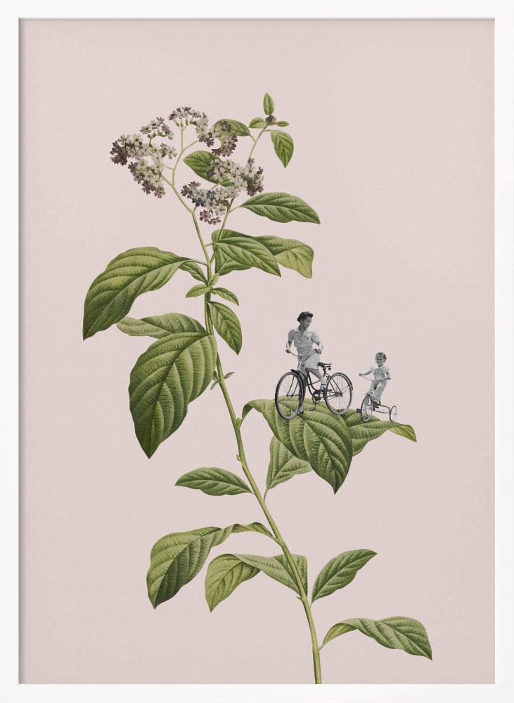 Poster - Botanical cycling white wood poster frame