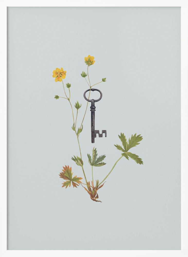 Poster - Botanical vintage key posterframe wit hout