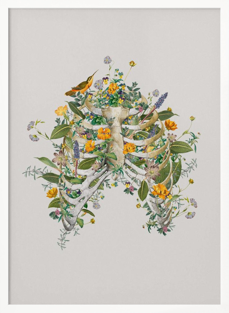 Poster - Floral thorax posterframe wit hout