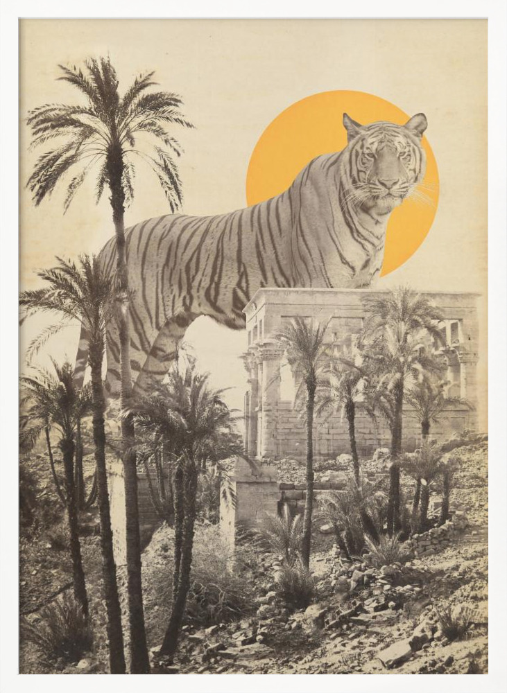 Poster - Giant Tiger In Ruins white wood poster frame