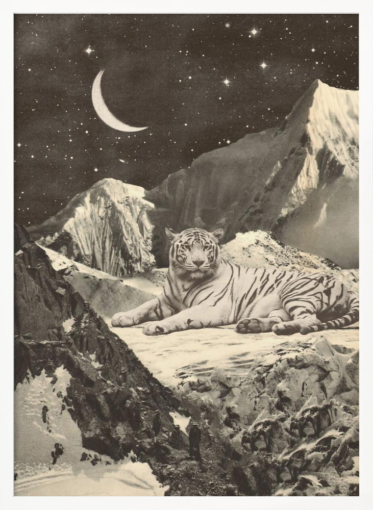 Poster - Giant White Tiger white wood poster frame