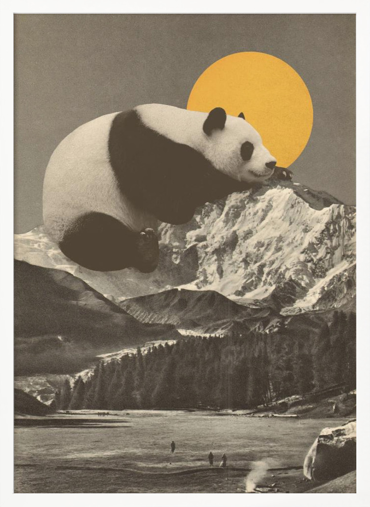 Poster - - Giant Panda Nap white wood poster frame