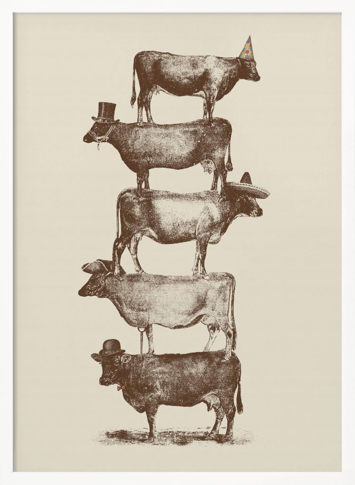 Poster - Cow Cow Nuts white wood poster frame