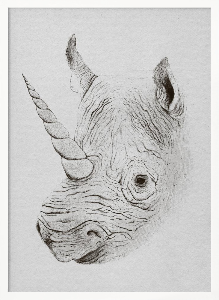 Poster - Rhinoplasty posterframe wit hout