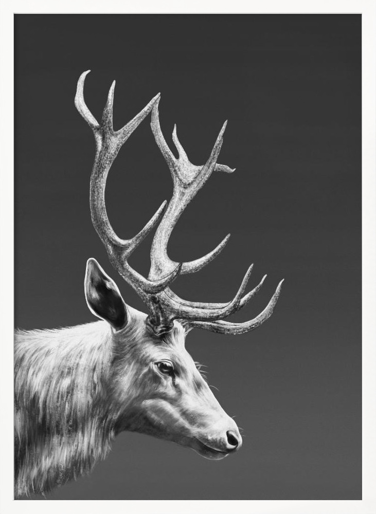 Plakat - Reindeer ramka na plakat z białego drewna