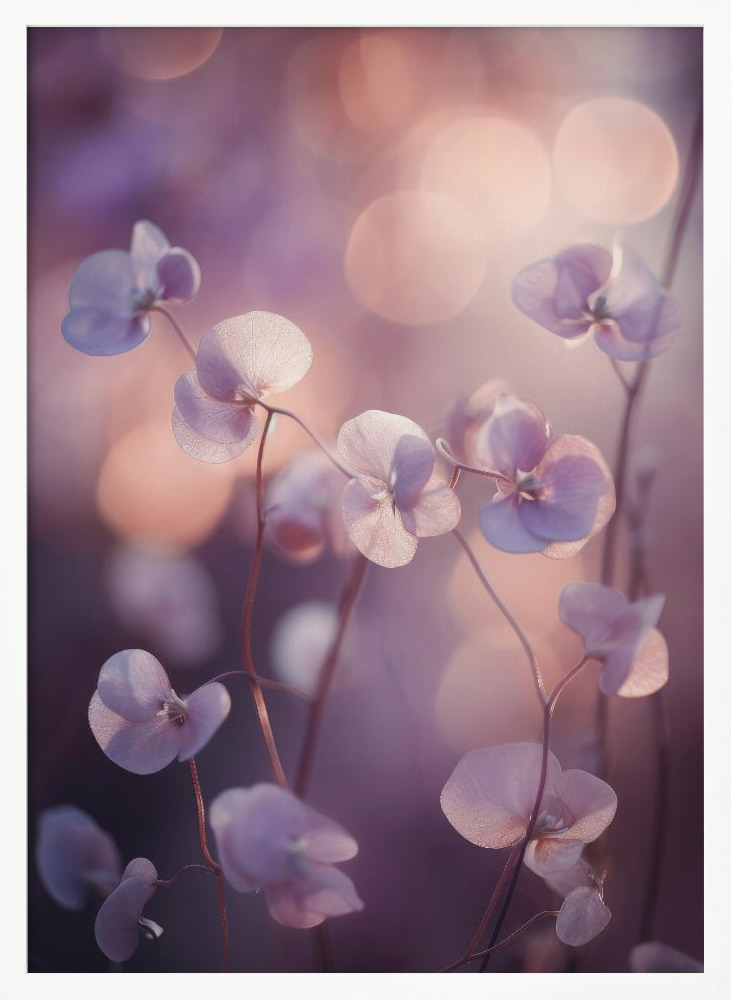 Affiche - Tiny Aubrieta cadre de poster en bois blanc