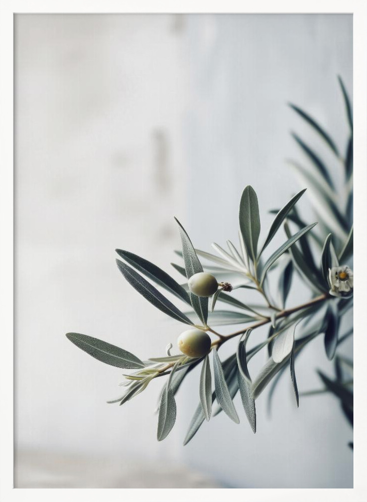 Poster - Olives white wood poster frame