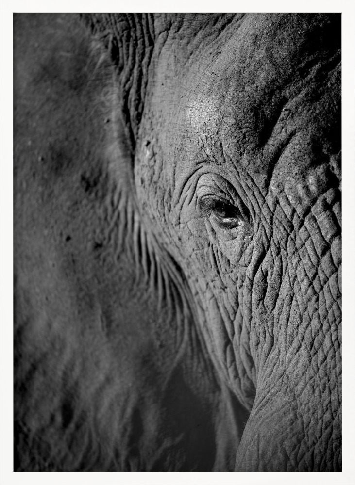 Poster - African Dream white wood poster frame