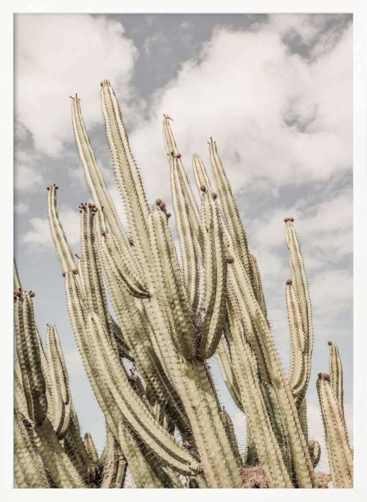 Poster - Desert Cathedral white wood poster frame
