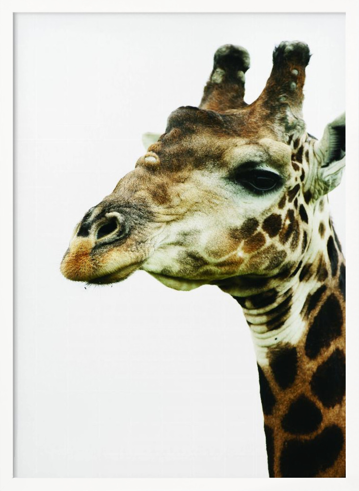 Poster - Hello white wood poster frame