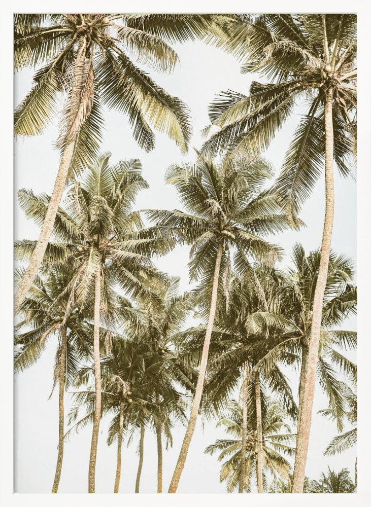 Affiche - Island Bliss cadre de poster en bois blanc