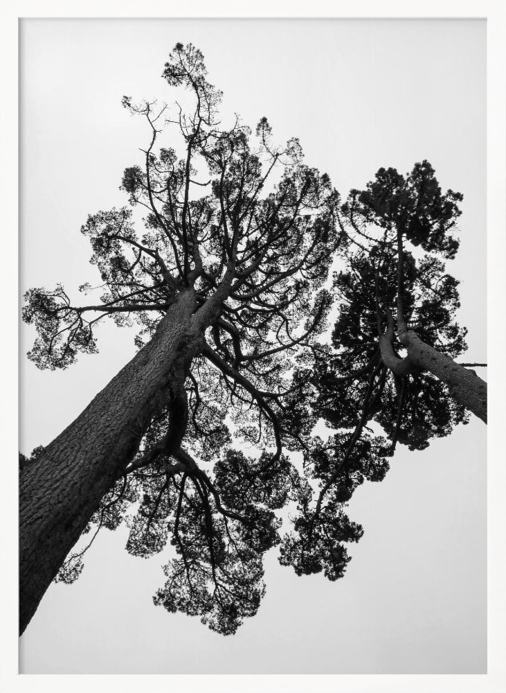 Affiche - Japanese Garden 02 cadre de poster en bois blanc