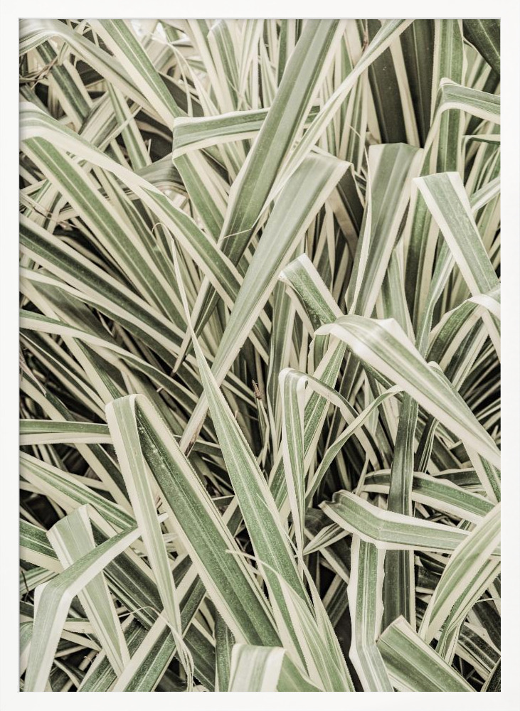Poster - Jazzy Jungle white wood poster frame