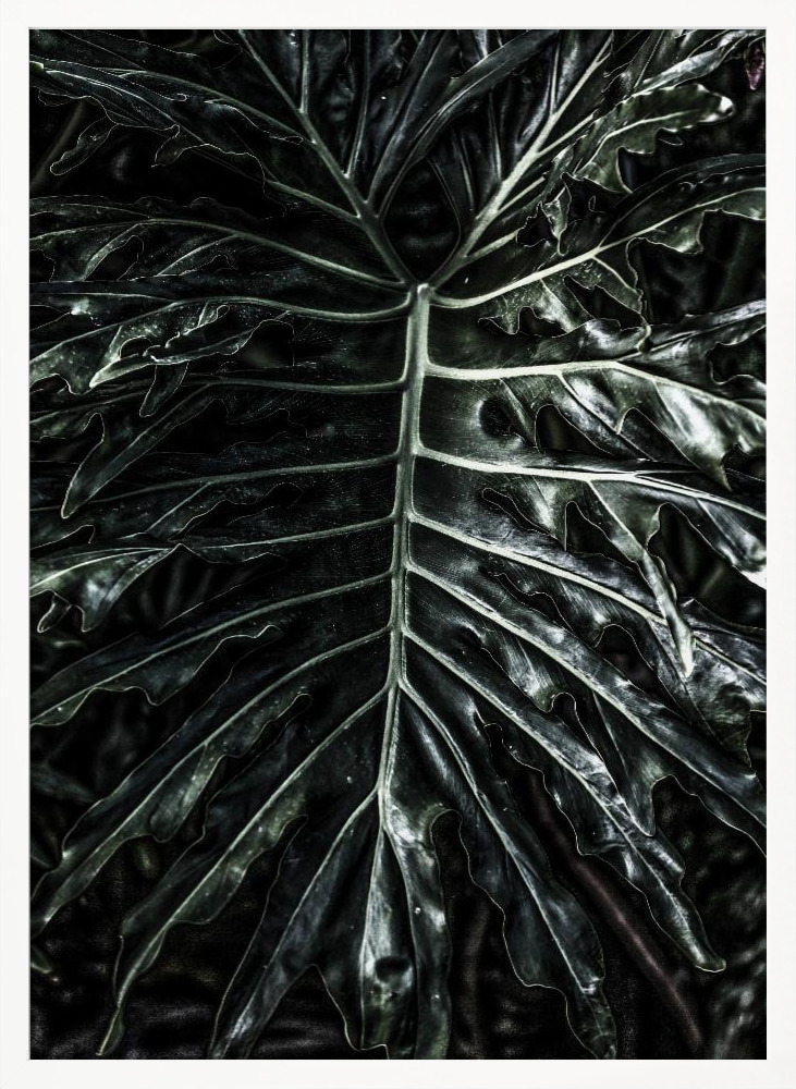 Poster - Jungle white wood poster frame
