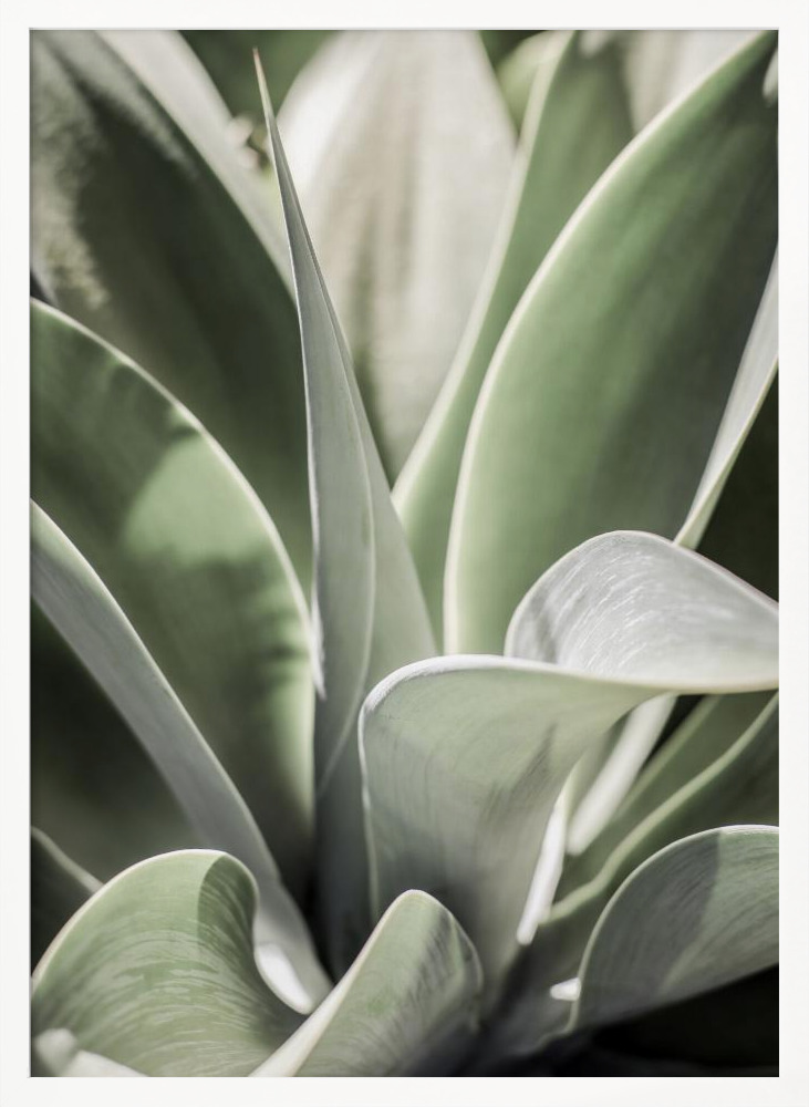 Poster - Karro Bloom white wood poster frame