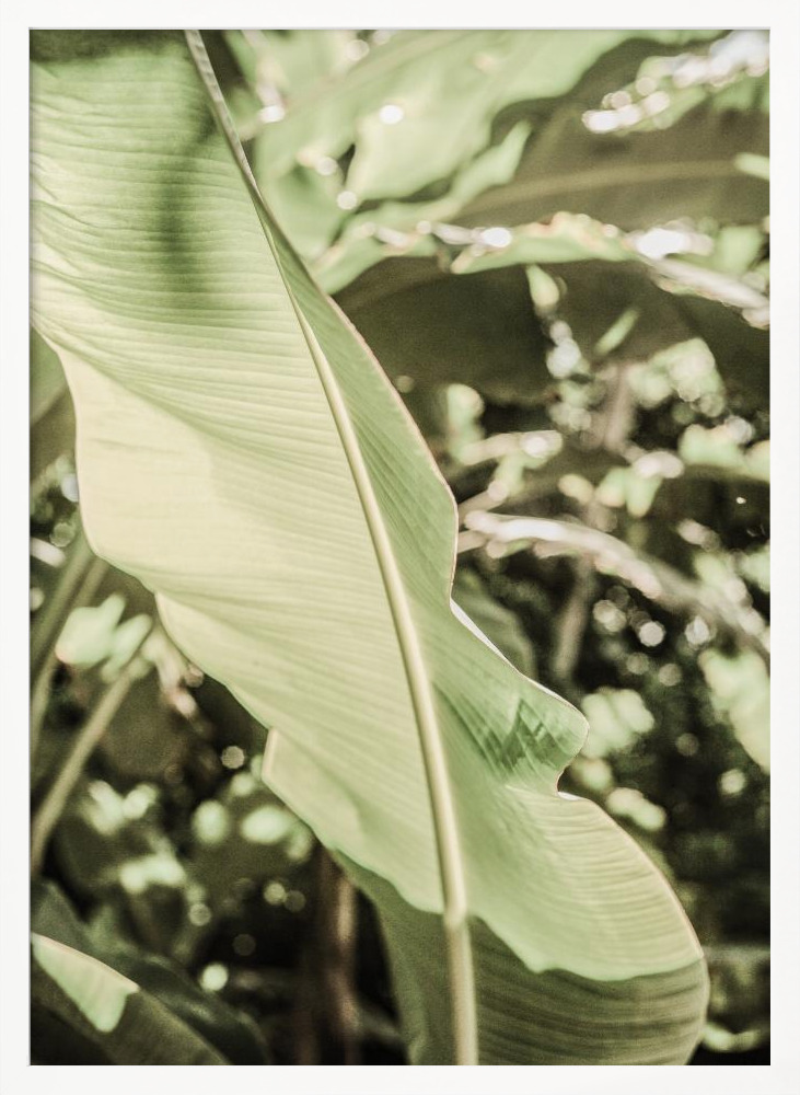Poster - Lime Lightning posterframe wit hout