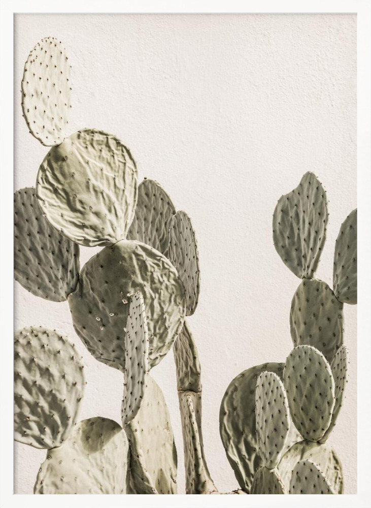 Poster - Mexi Catus white wood poster frame