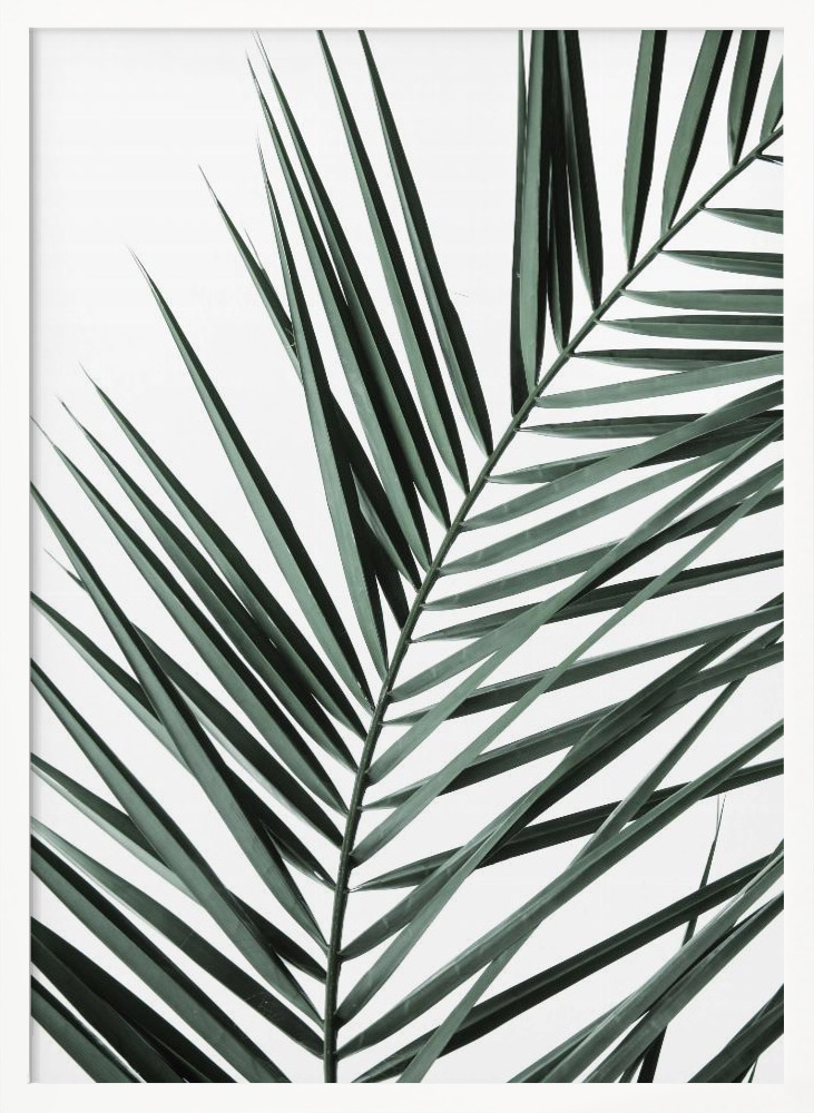 Poster - My Mint Moment 19 white wood poster frame