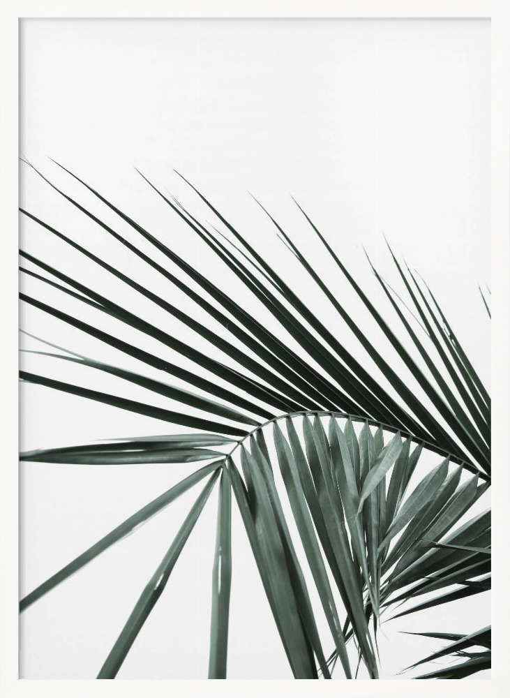 Poster - My Mint Moment 20 white wood poster frame