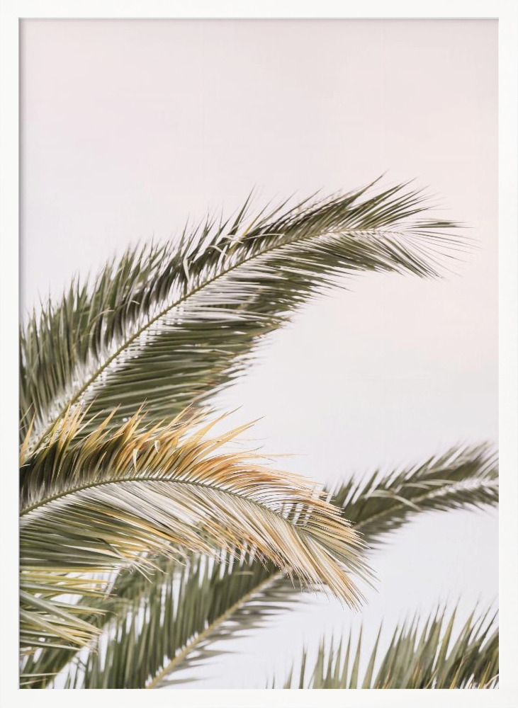 Poster - Oasis Palm 03 white wood poster frame
