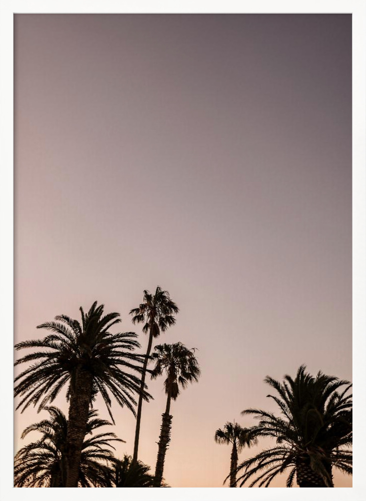 Poster - Palm Point white wood poster frame