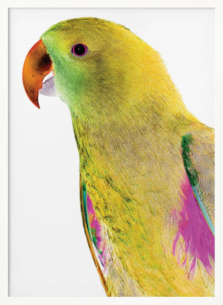 Poster - Polly white wood poster frame