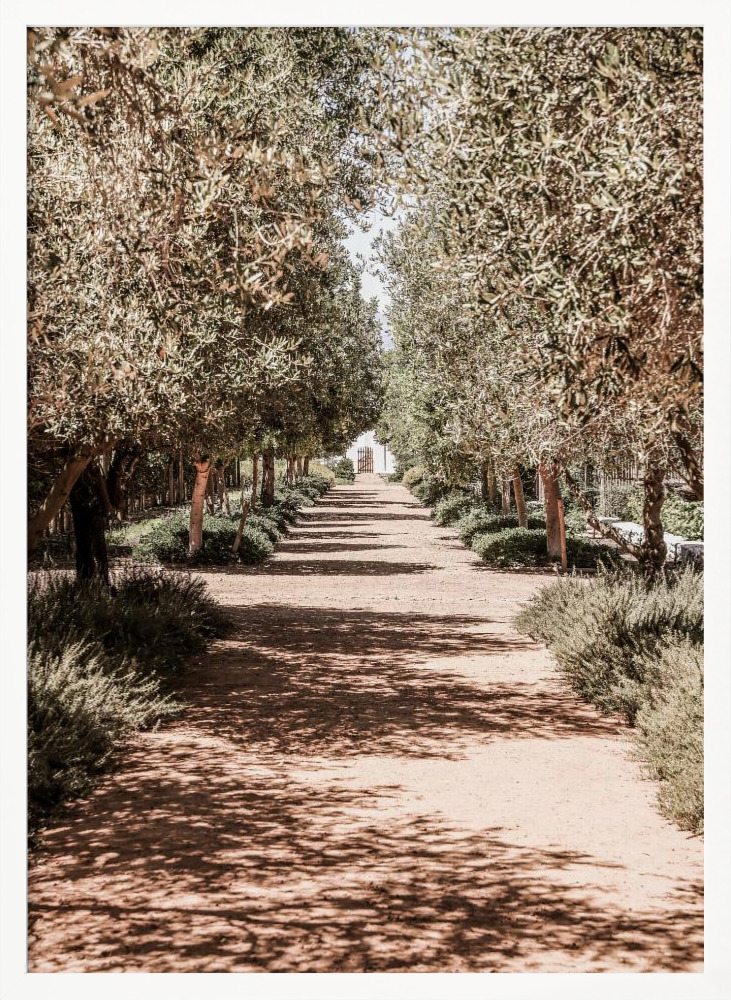 Affiche - Secret Garden cadre de poster en bois blanc