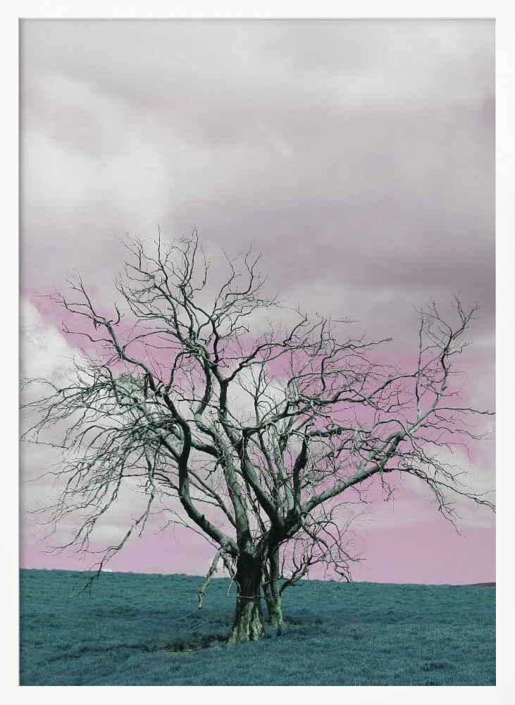 Poster - Suesscape 03 white wood poster frame