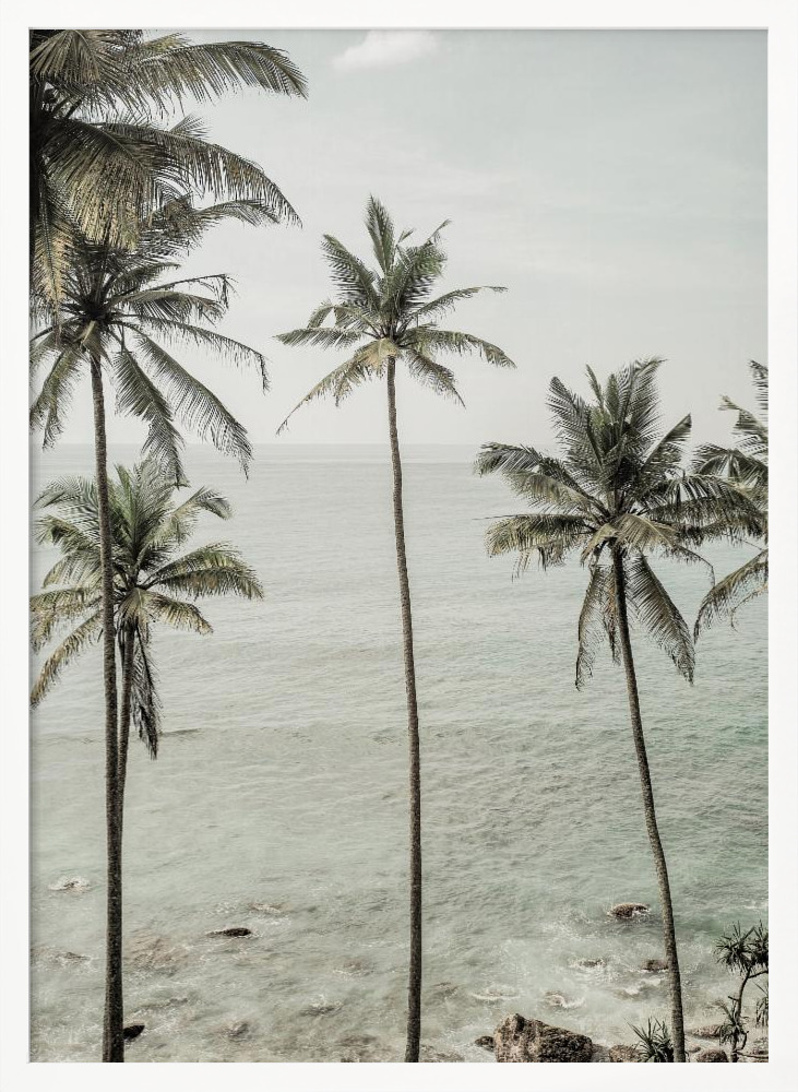Plakat - Tropical Dreams ramka na plakat z białego drewna