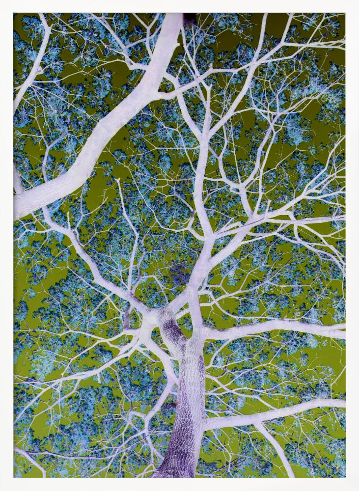 Poster - Twilight No2 posterframe wit hout