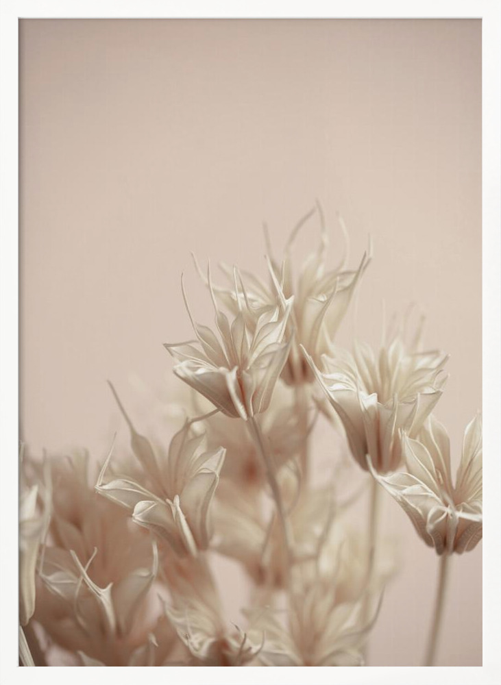 Poster - Last Summer 17 white wood poster frame