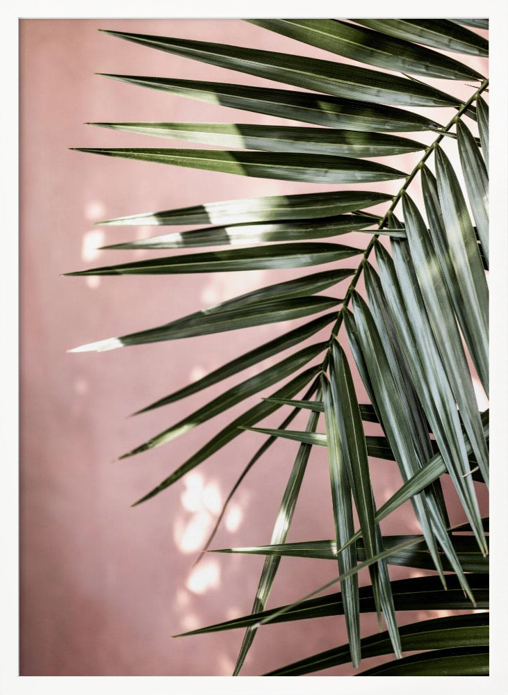 Poster - Palm Leaves 23 posterframe wit hout