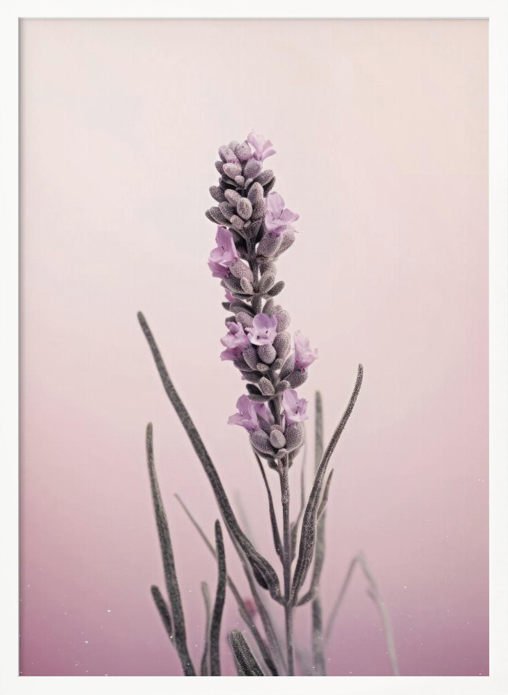 Affiche - Pastel Lavender cadre de poster en bois blanc