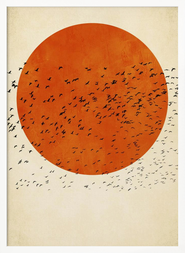 Poster - Birds In the Sun white wood poster frame