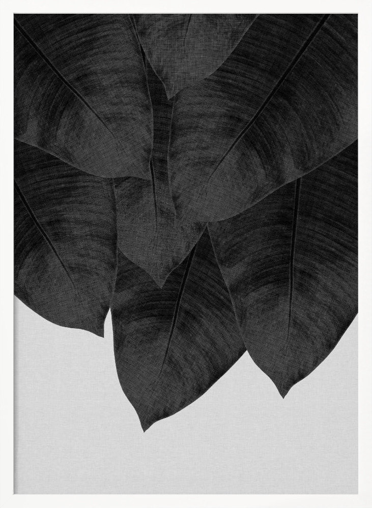 Affiche - Banana Leaf Black & White III cadre de poster en bois blanc