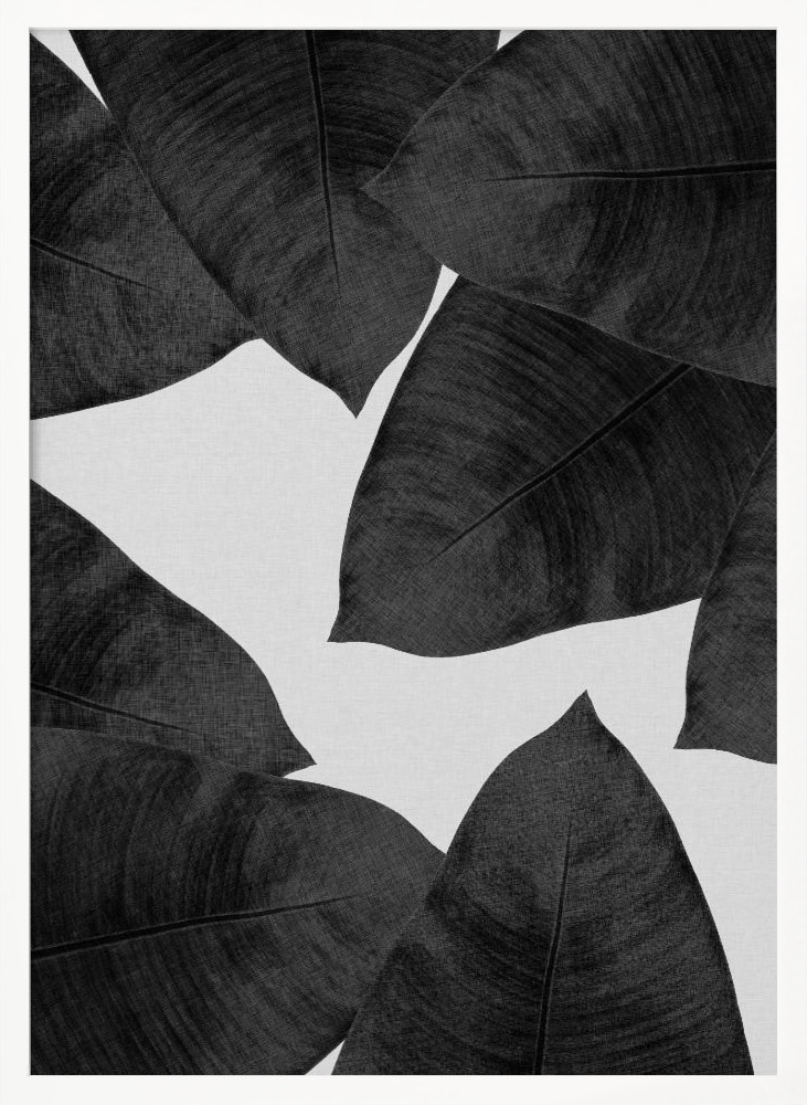 Poster - Banana Leaf Black & White II posterframe wit hout