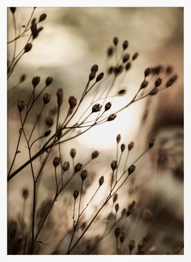 Affiche - Autumn Lights cadre de poster en bois blanc