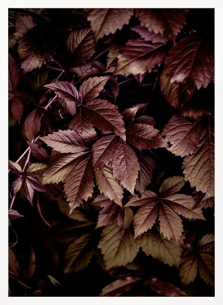 Poster - Autumn Leaves 13 posterframe wit hout