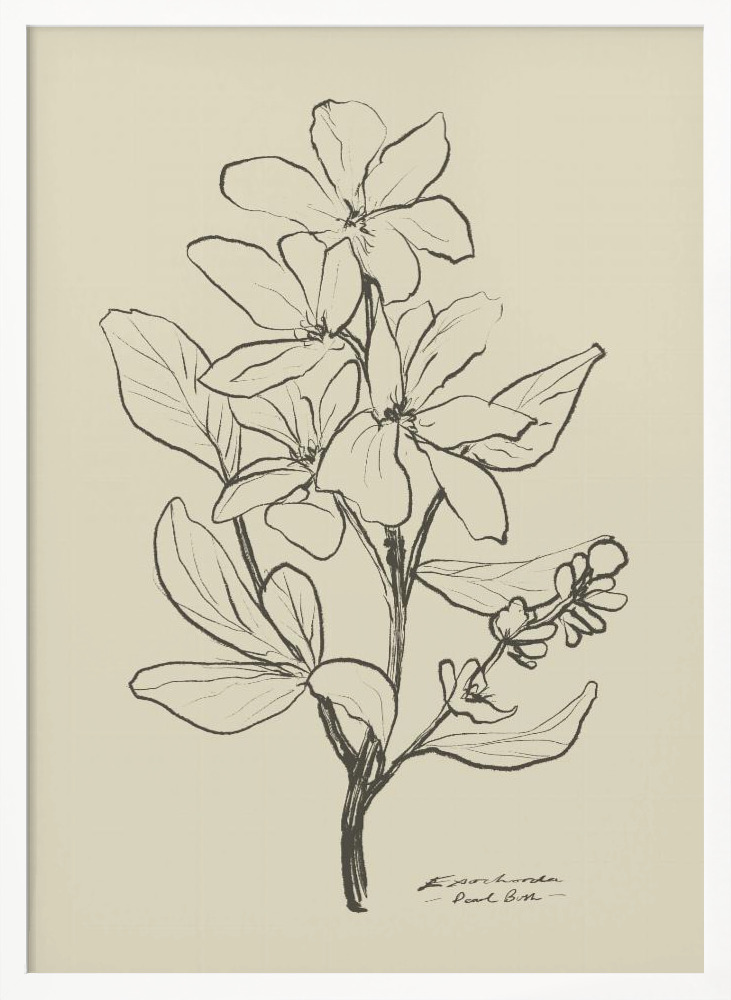 Poster - Floral 1 white wood poster frame